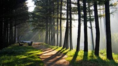 Dan Millman on The Way of the Peaceful Warrior