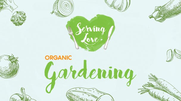 Serving Love: Organic Gardening