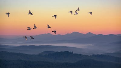 Field of Awareness