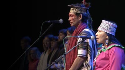 Ayahuasca at the Parliament of the World’s Religions