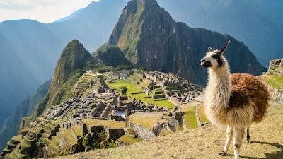 The Wise Men of Peru (Dr. Theo Paredes & Ruben Orellana)