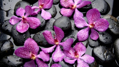 The Divine Design (Rosemary Huang & Abbi Goodman)