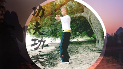 Introduction au Shil Lim Tao