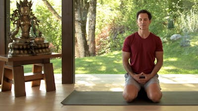 Yin Neck Release