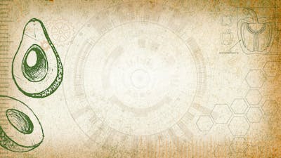 Ernährung: Treibstoff für dein bestes Leben