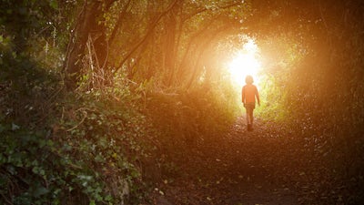 Raymond Moody on Life After Life