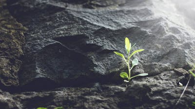 Paul Von Ward on Reincarnation