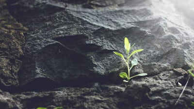 Paul Von Ward on Reincarnation