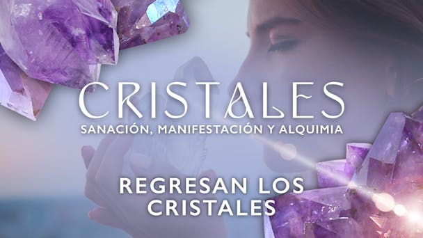 Regresan los cristales