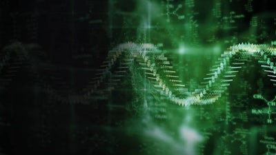 À quoi ressemblerait la vie E.T ?