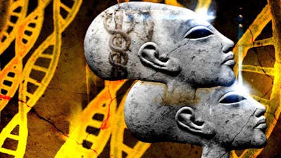 Die Entdeckung der Verlängerten-Schädel-DNA