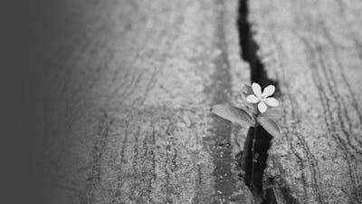 Omnipotence