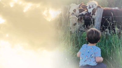 The Carnivore's Dilemma