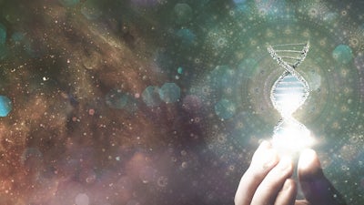 Ein metabolischer Ansatz zur Krebsbekämpfung