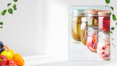 El Intestino y su importancia