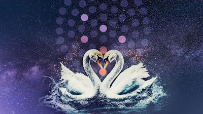 Liberar el amor dentro de la sombra