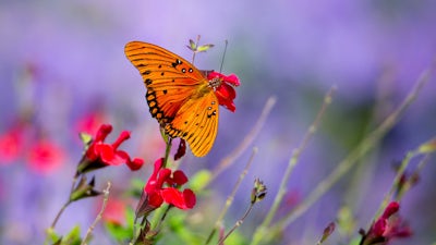 Wege aus der Dysregulation