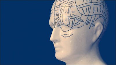 Sentient Evolution with Meg Blackburn Losey