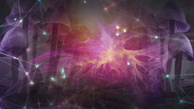 Psychedelics Sacred History with Tom Hatsis