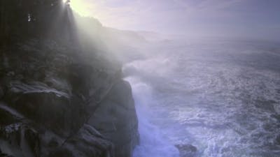 The End of Suffering: Invoking the Peacefulness with Thich Nhat Hanh