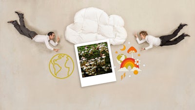 Werden wir von Pilzen regiert?