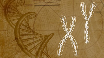 Quantum Perceptions of Matter