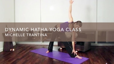 Dynamic Hatha Yoga Class