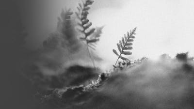 On Being Vague