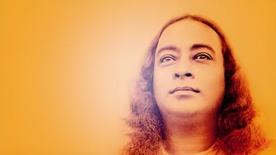 Despierta: la vida de Yogananda