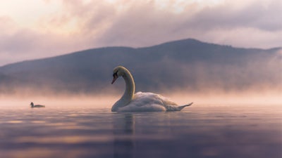 Healing the Inner Child