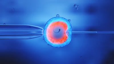 Exposing GMO Agendas with Jeffrey Smith