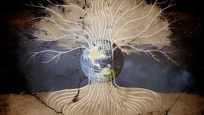 Der Baum des Lebens