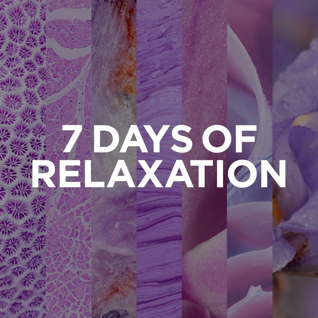 7 Days of Relaxation