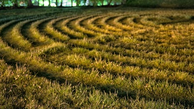 Bert Janssen on Crop Circles