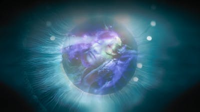 The Enigma of our Existence