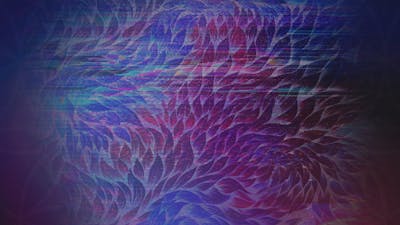 Stereographic Vision