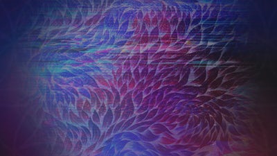 Stereographic Vision