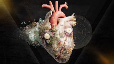 The Heart Is the Portal