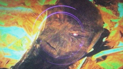 El encuentro cercano de Jonathan Reed