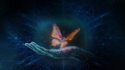 Session 6: Adaptation and Evolution