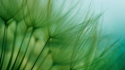 Lorraine Day on Cancer and Faith