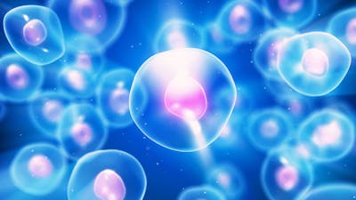 Life-Giving Microbes Within with Compton Rom