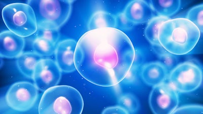 Life-Giving Microbes Within with Compton Rom