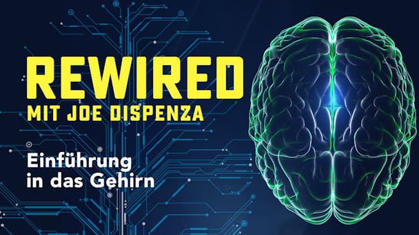 Einführung in das Gehirn