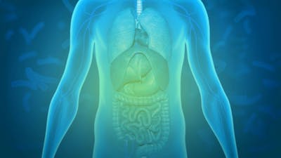 Microbiome & the Gut Brain