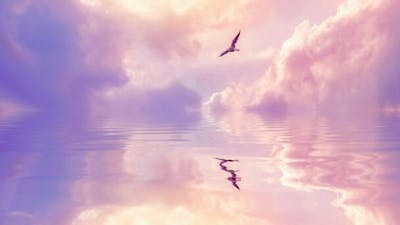 Viaje interior para la liberación