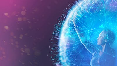 Session 7: Consciousness, the Field, and Bio-program