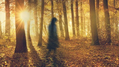 Unexplained Phenomena and the Sun with Jack Cary