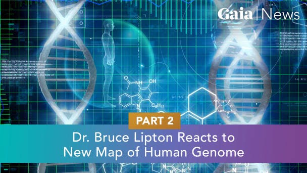 Dr. Bruce Lipton Reacts to New Map of Human Genome Part 2