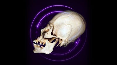 Cráneos alargados de nuestro mundo